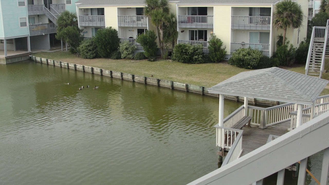 Photo of Others in Pensacola Beach