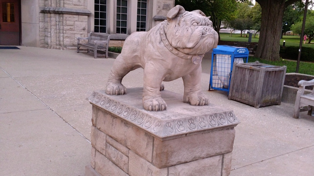 Photo of Others in Indianapolis