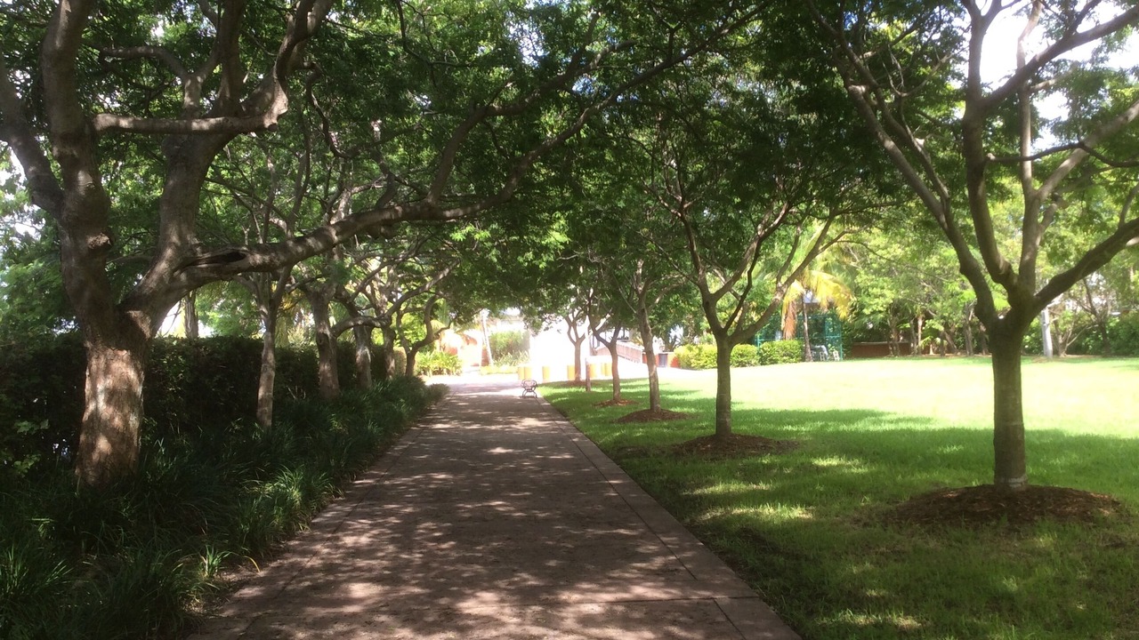 Photo of Outdoor in Key Biscayne