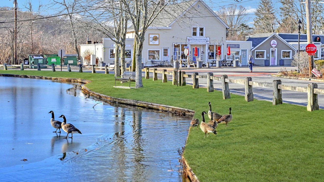 Photo of Others in Wading River