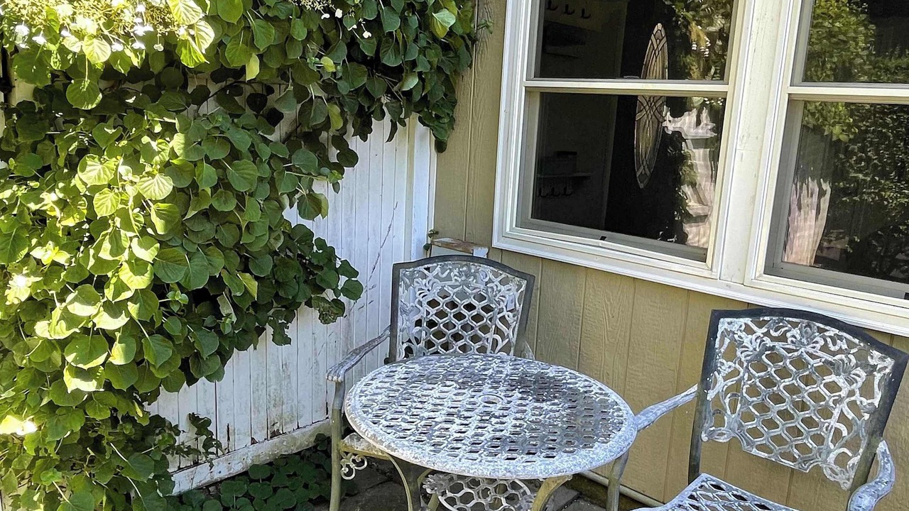 Photo of Outdoor in Rocky Point