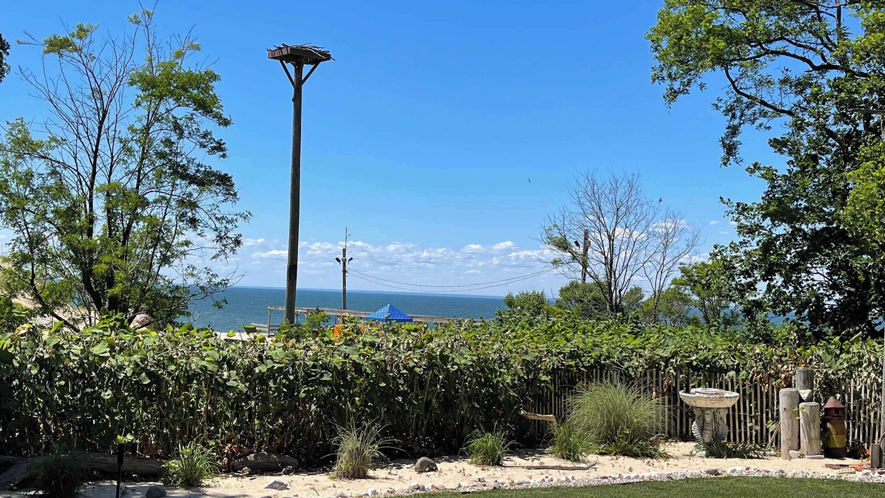 Photo of Others in Rocky Point