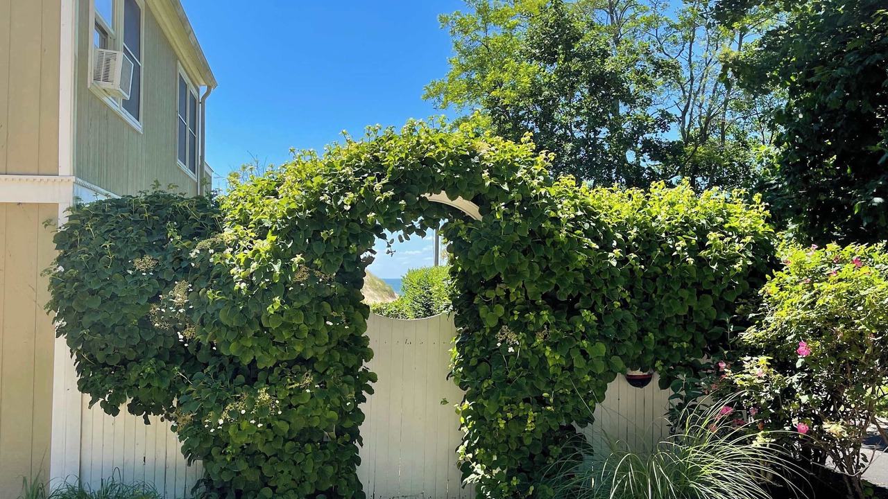Photo of Outdoor in Rocky Point