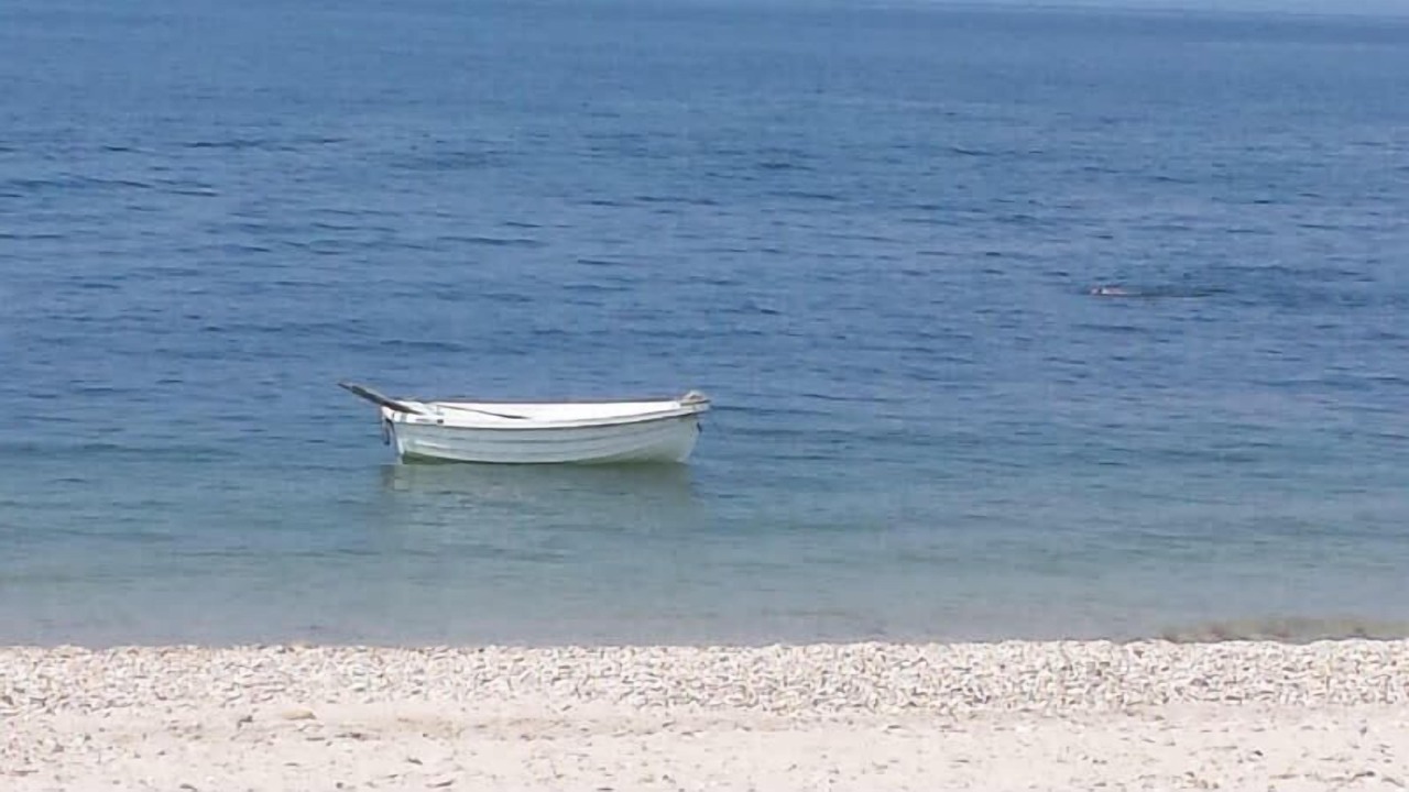 Photo of Others in Wading River
