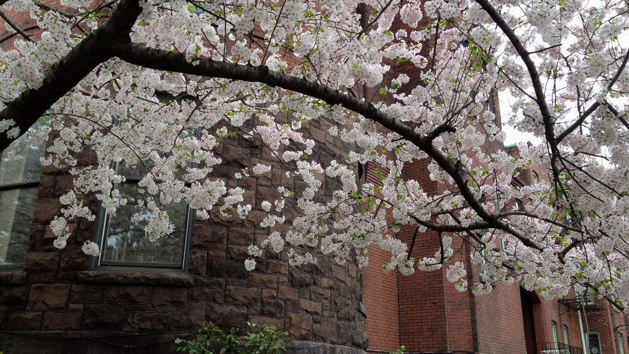 Photo of Others in Dupont Circle