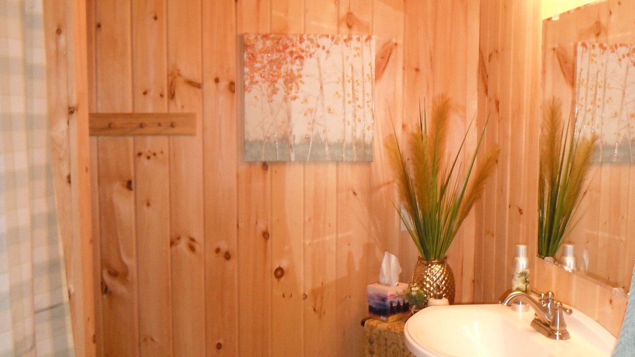 Photo of Bathroom in Brant Lake