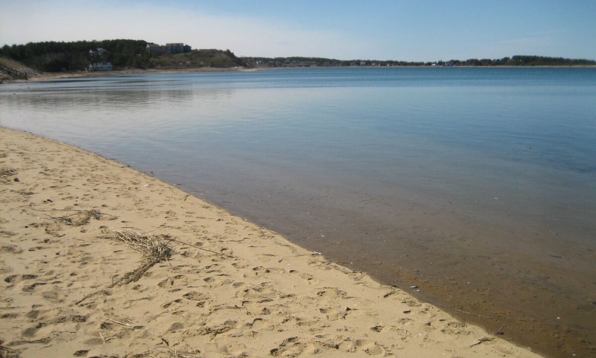 Photo of Others in Wellfleet