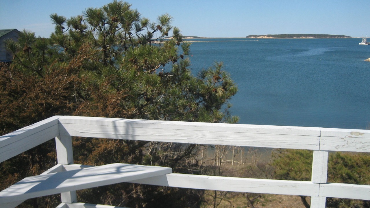 Photo of Outdoor in Wellfleet