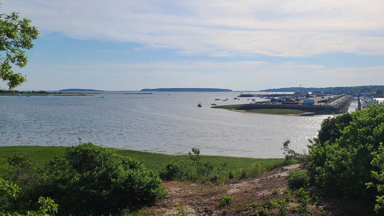 Photo of Others in Wellfleet