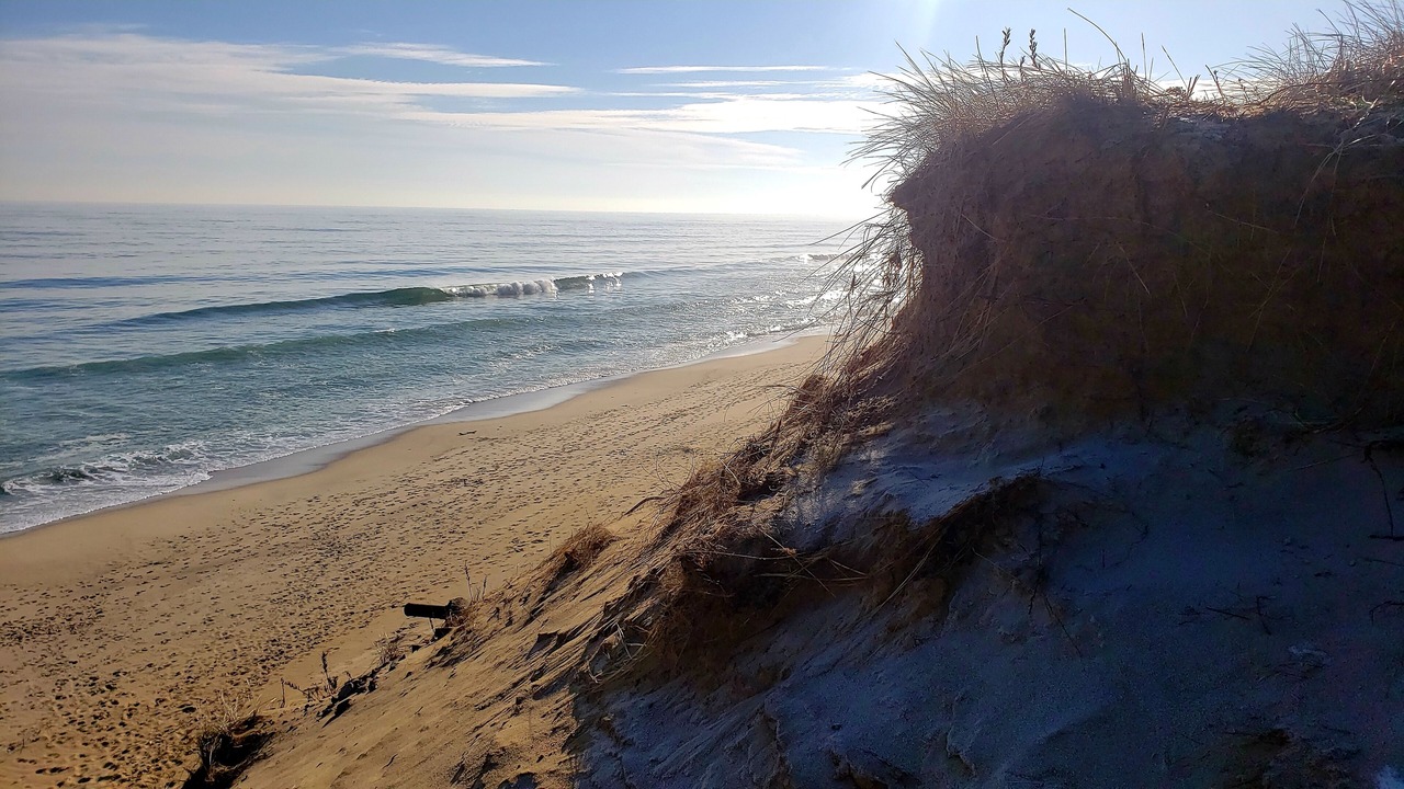 Photo of Others in Wellfleet