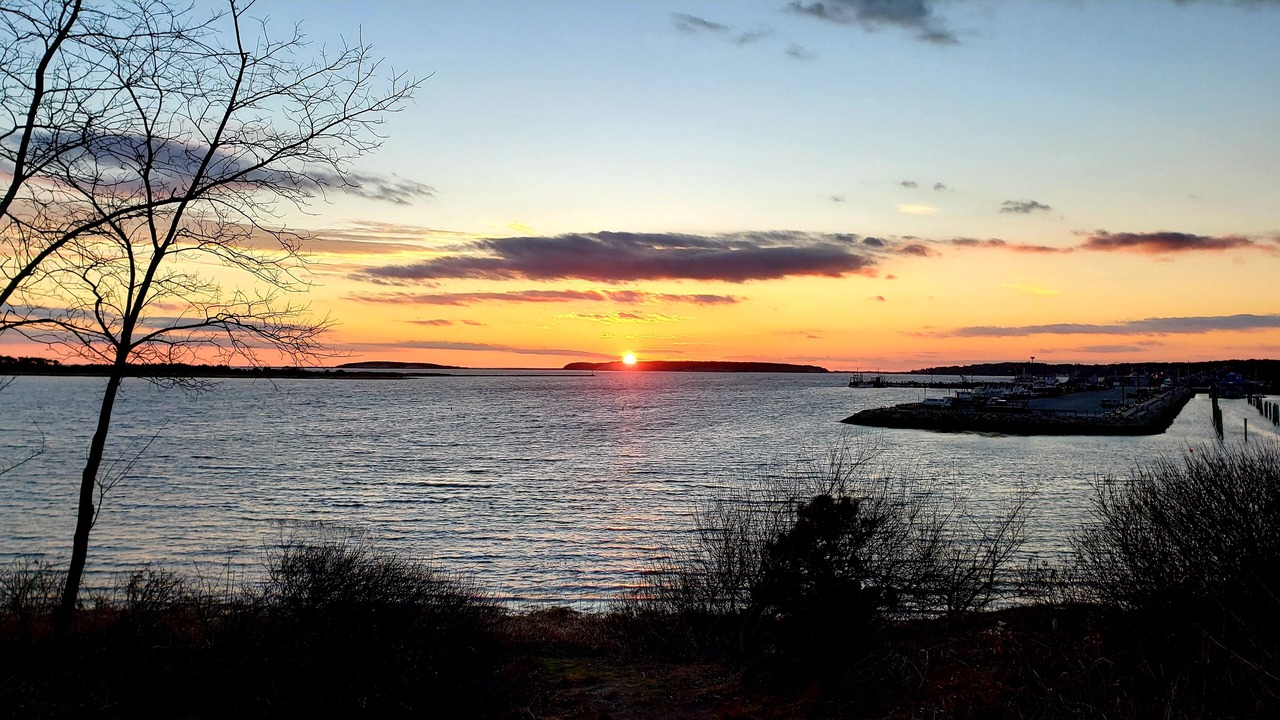 Photo of Others in Wellfleet