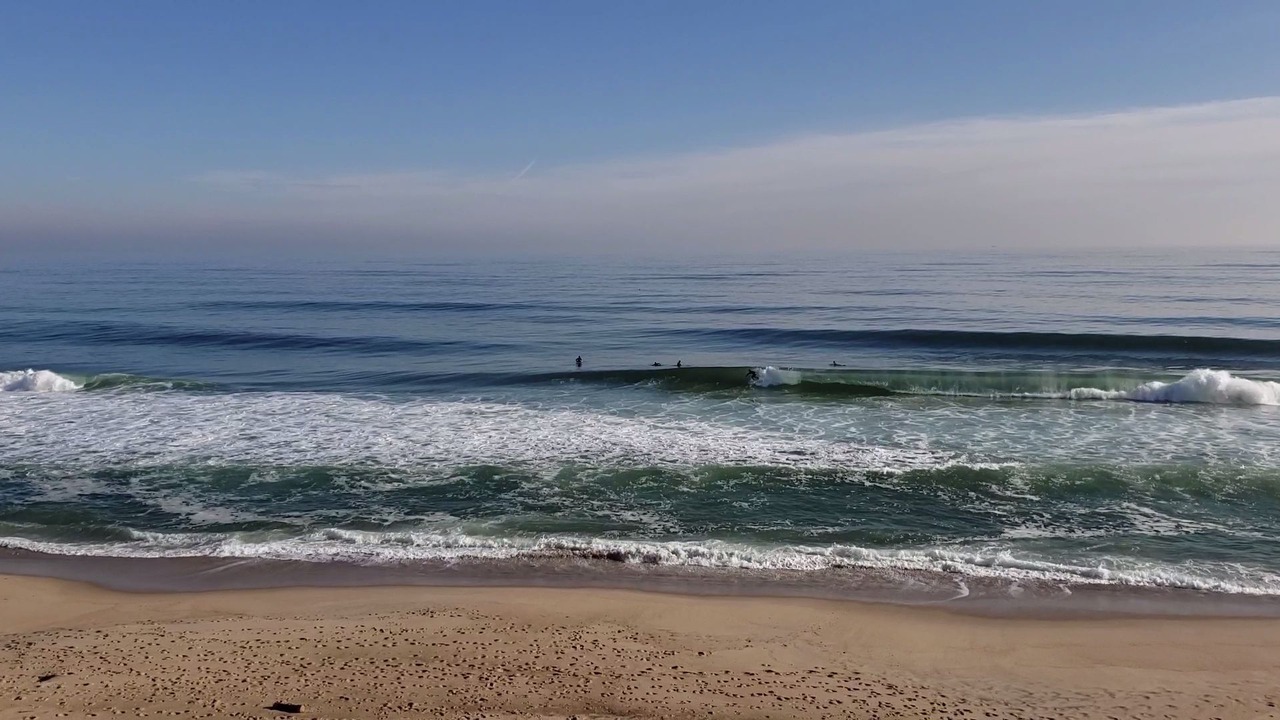 Photo of Others in Wellfleet