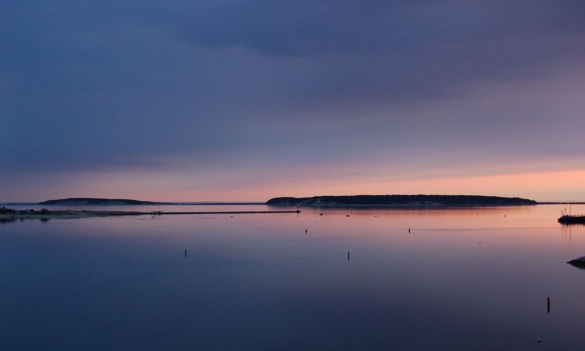 Photo of Others in Wellfleet