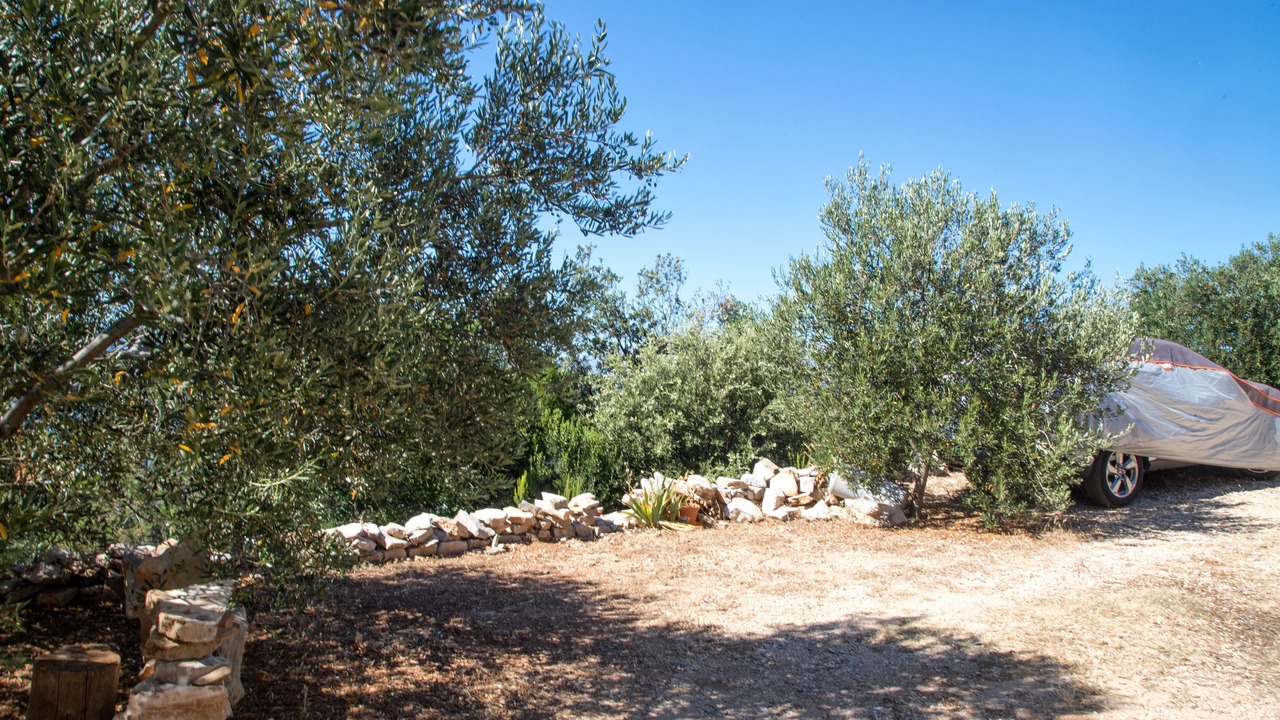 Photo of Outdoor in Pokrivenik