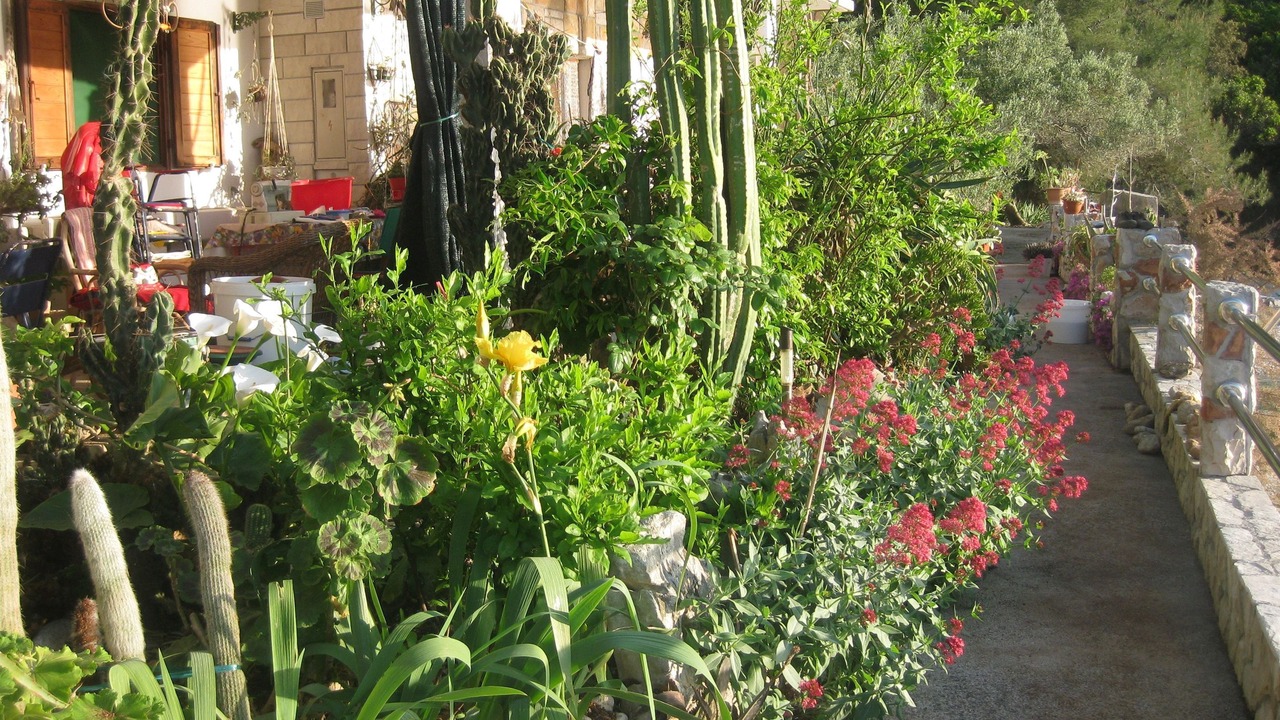 Photo of Outdoor in Pokrivenik