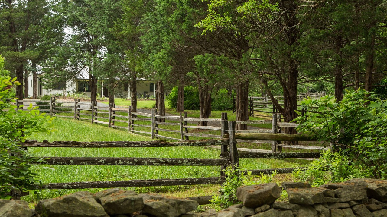 Photo of Outdoor in Middleburg