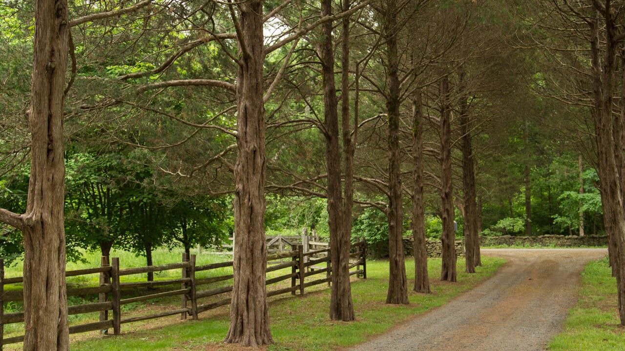 Photo of Others in Middleburg