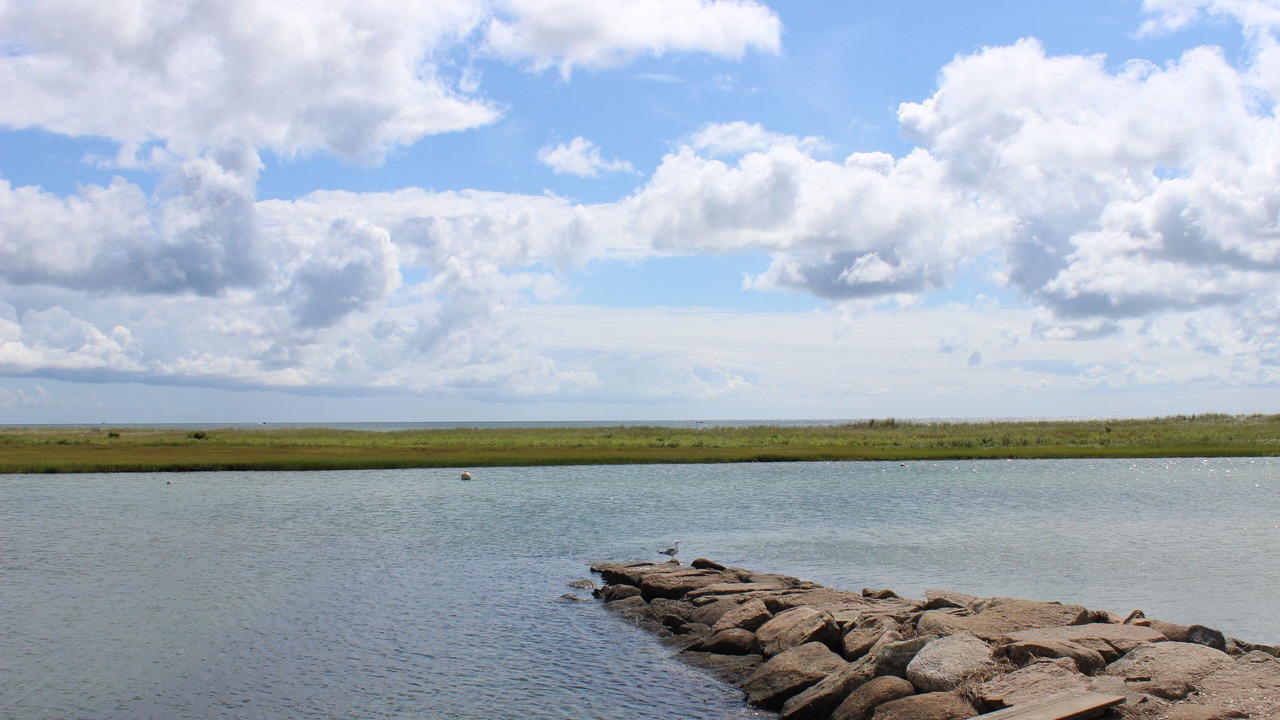 Photo of Others in West Hyannisport