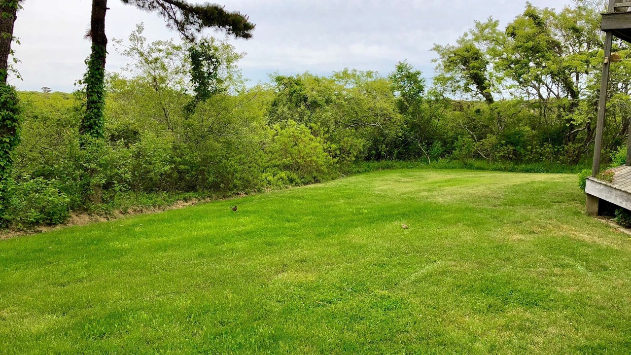 Photo of Outdoor in Madaket