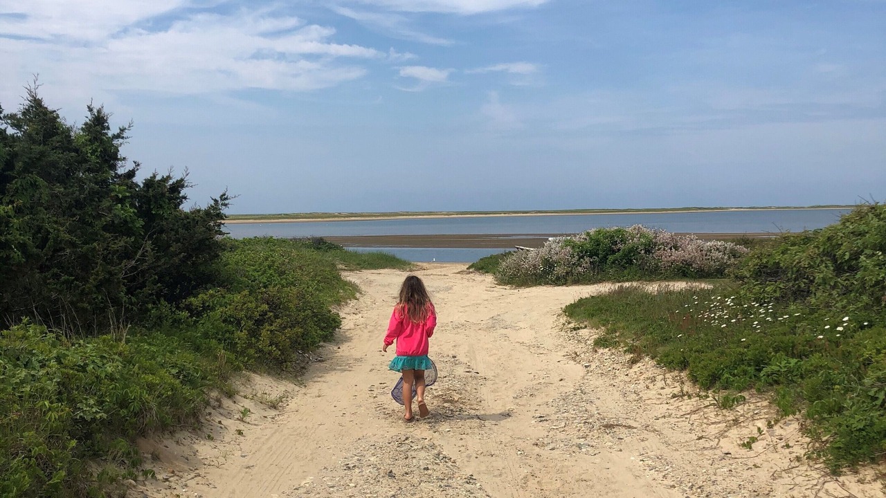 Photo of Others in Edgartown