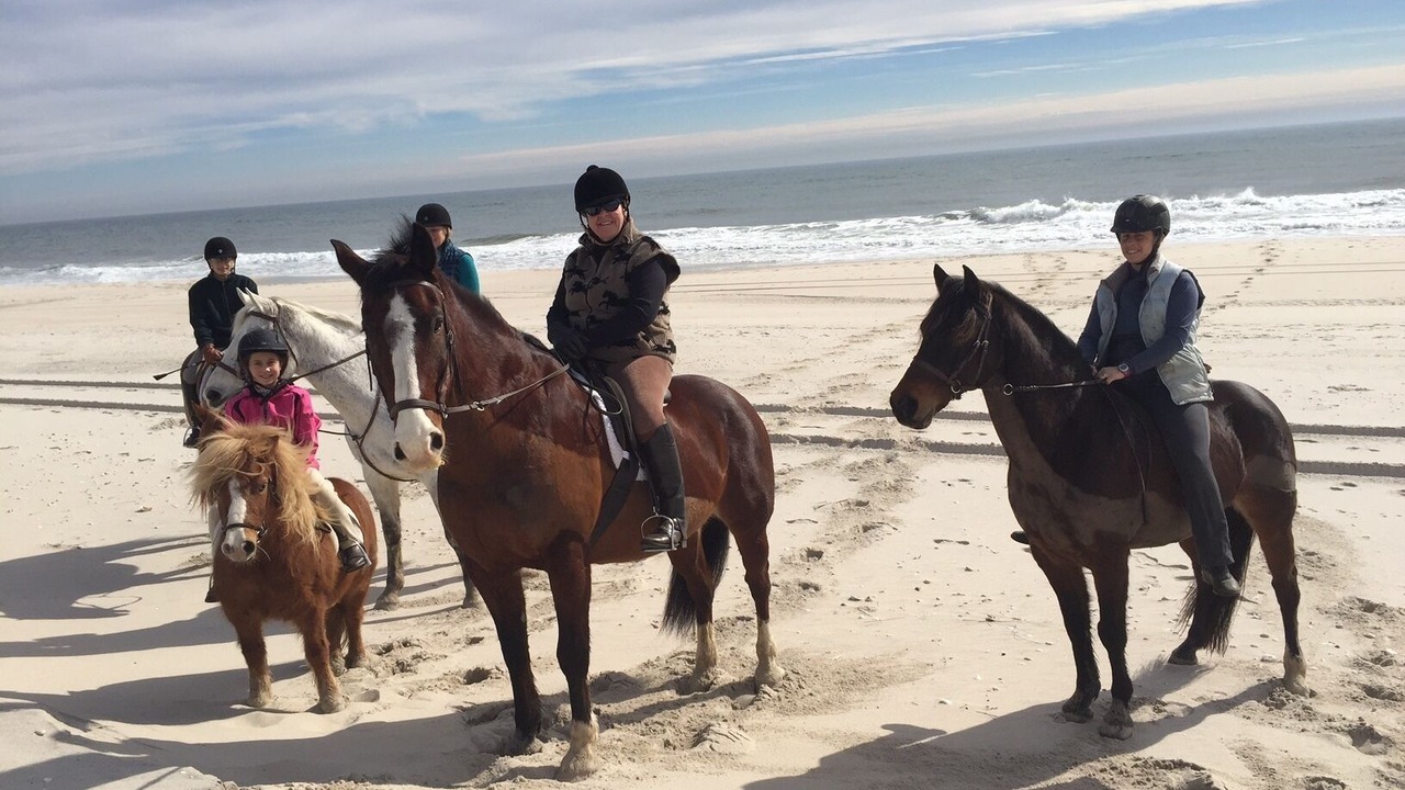 Photo of Others in West Hampton Dunes