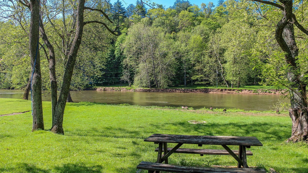 Photo of Outdoor in Grassy Creek