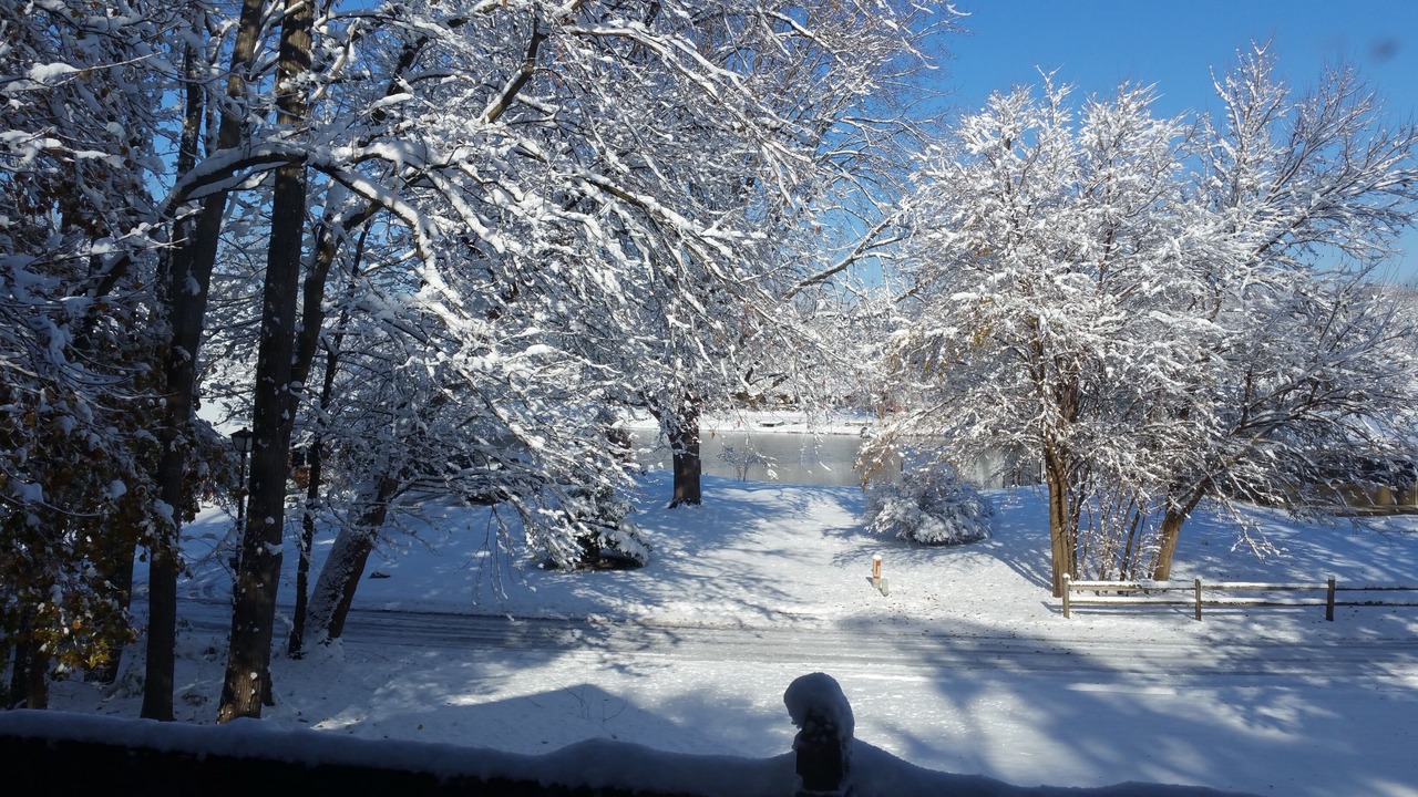Photo of Outdoor in South Bend