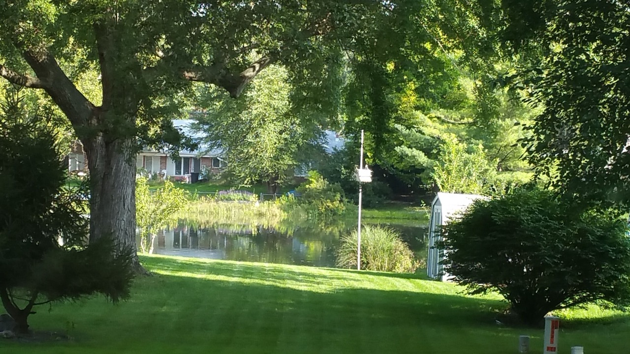 Photo of Outdoor in South Bend