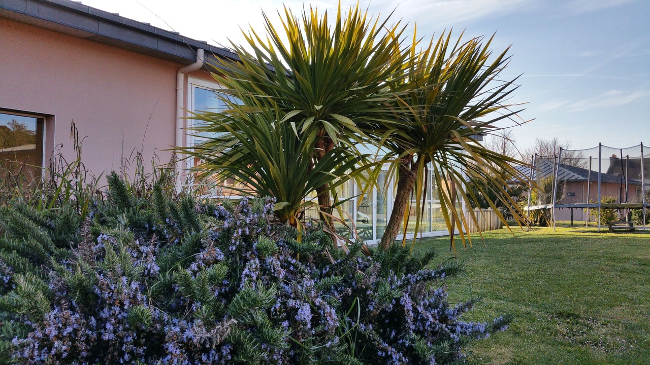 Photo of Outdoor in Guisseny