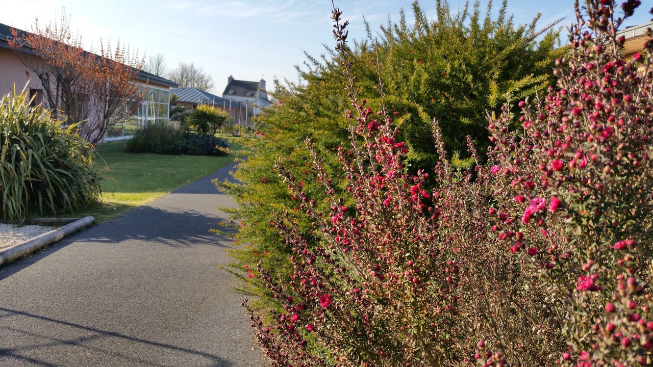 Photo of Outdoor in Guisseny