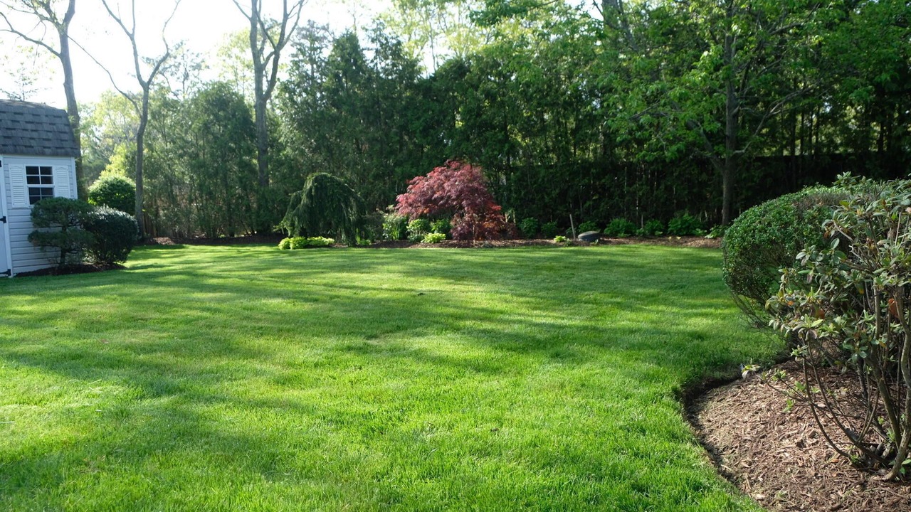 Photo of Outdoor in Hampton Bays