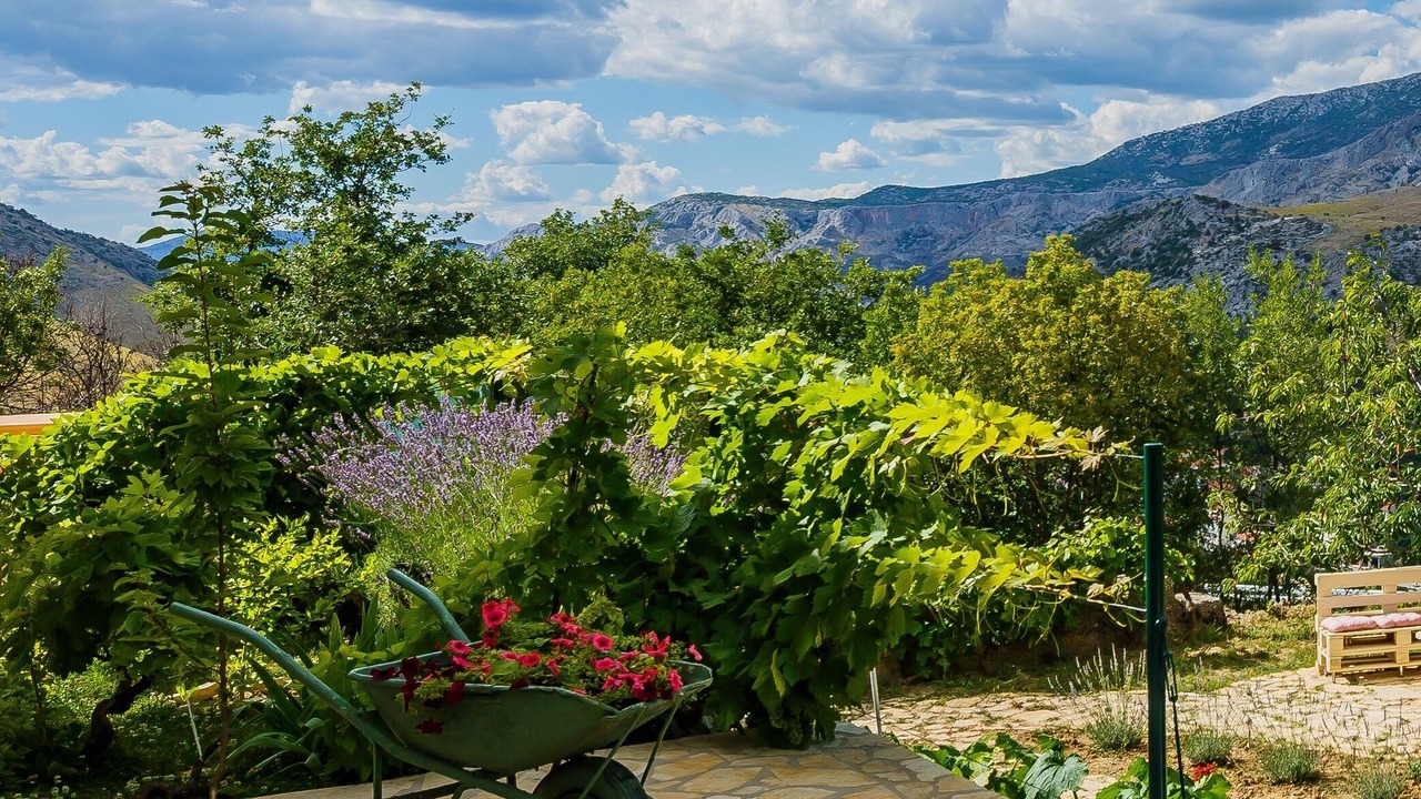 Photo of Outdoor in Donje Sitno
