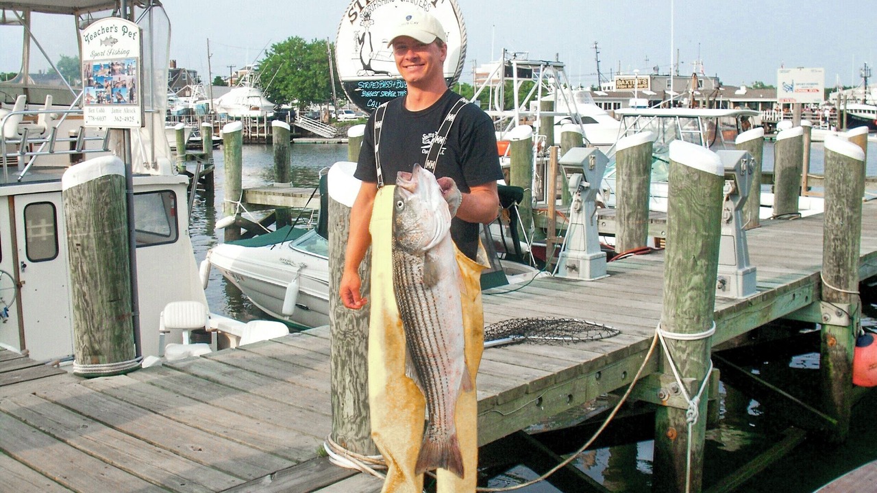 Photo of Others in South Yarmouth