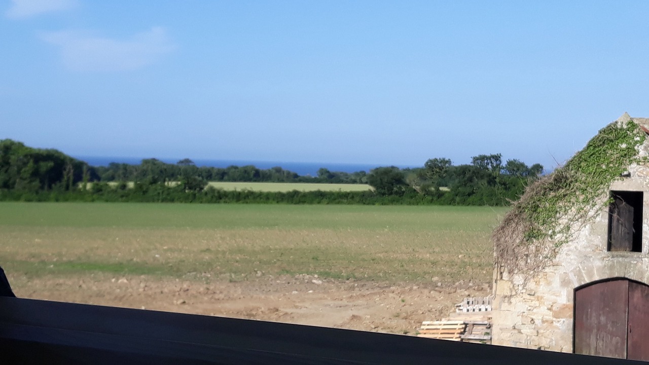 Photo of Others in Plovan