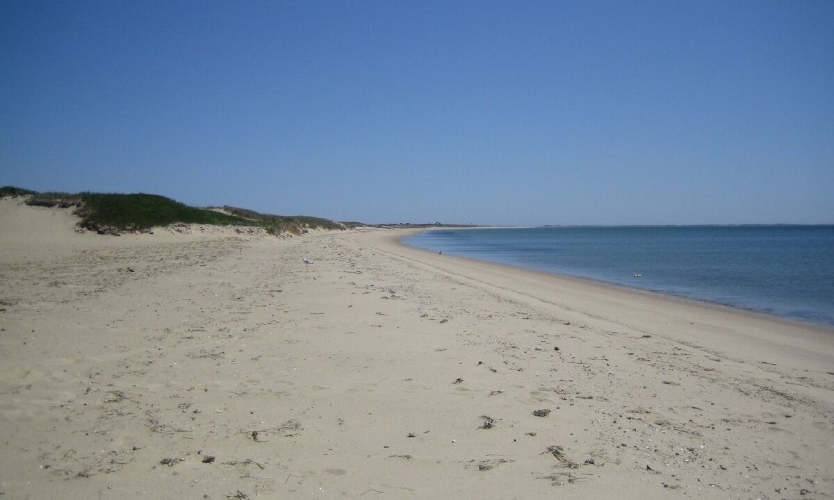 Photo of Others in West Chatham