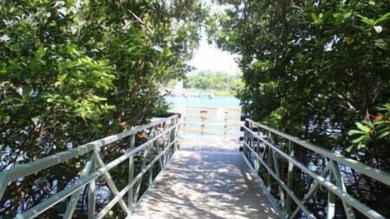 Photo of Others in Aventura