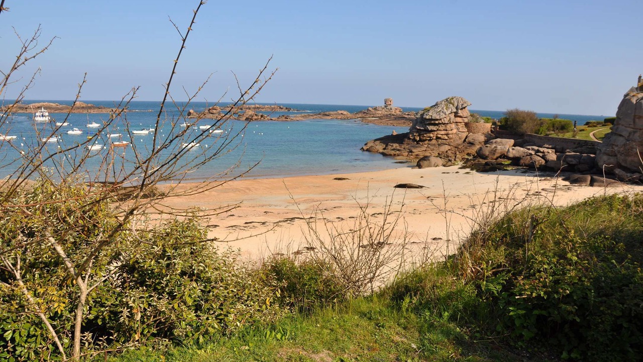 Photo of Others in Tregastel