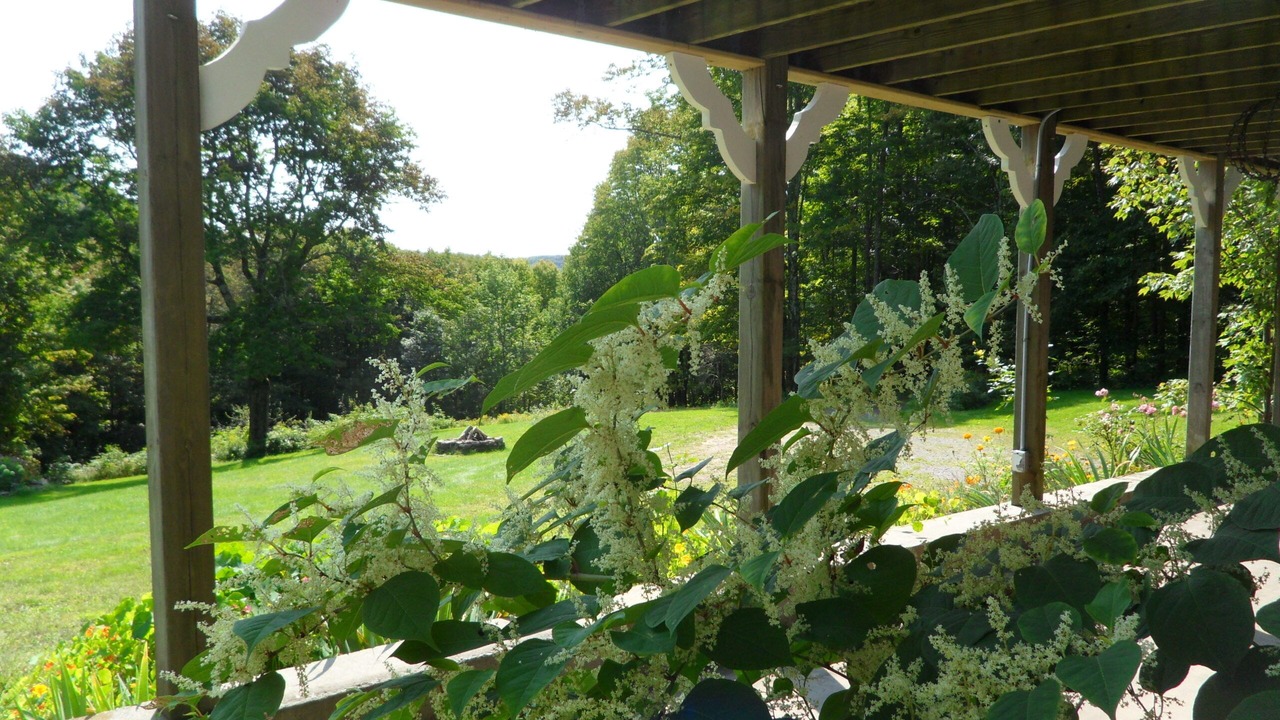 Photo of Outdoor in Roscoe