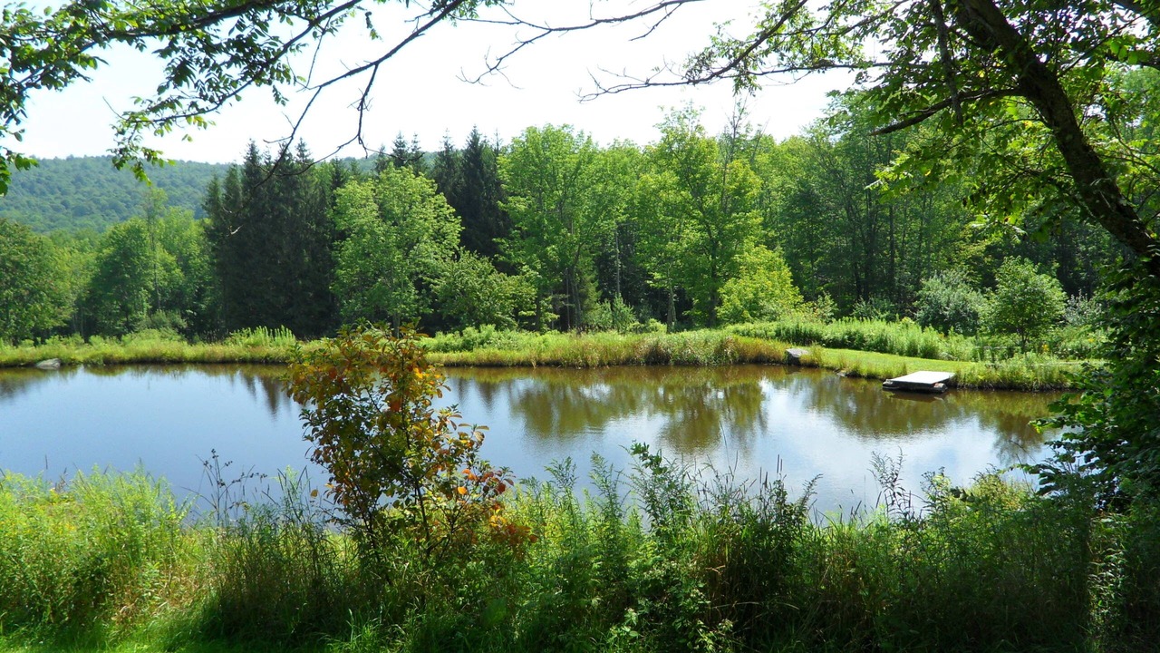 Photo of Outdoor in Roscoe