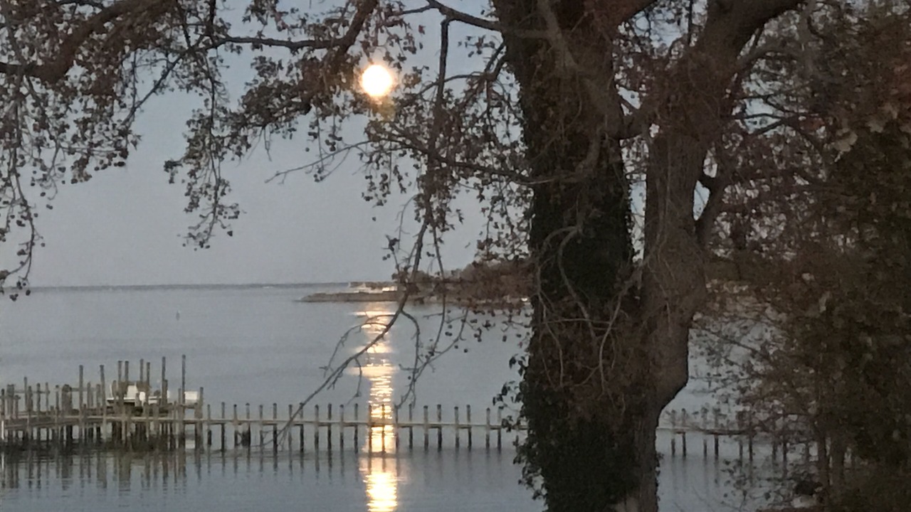 Photo of Others in Colonial Beach