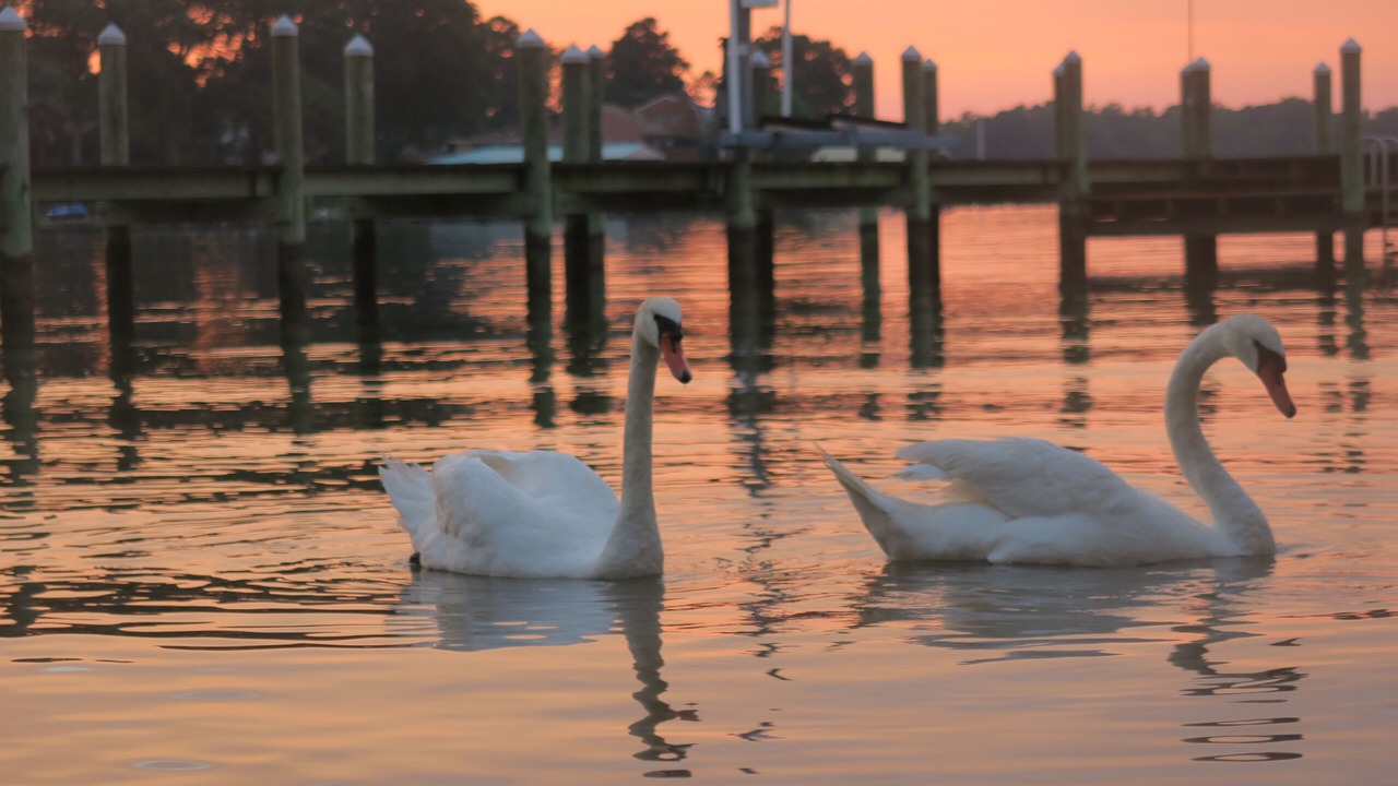 Photo of Others in Colonial Beach
