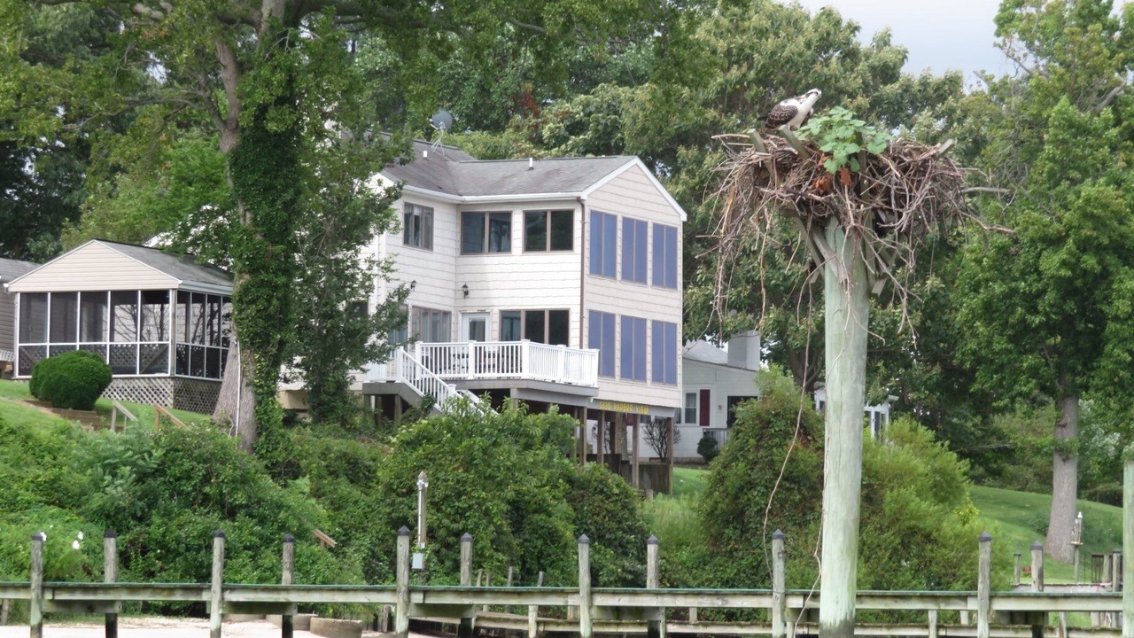 Photo of Others in Colonial Beach