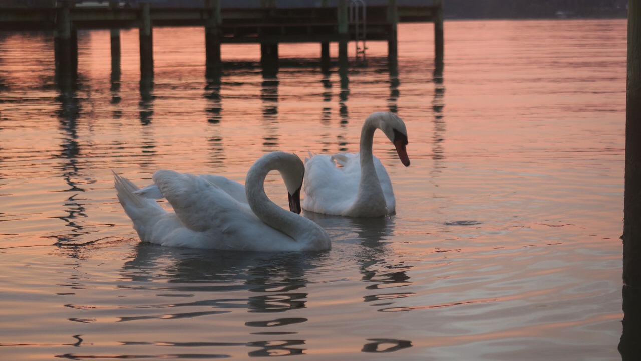 Photo of Others in Colonial Beach
