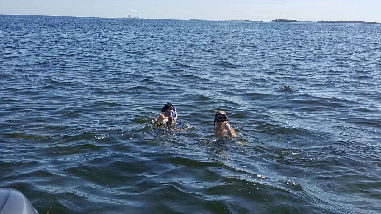 Photo of Others in Homosassa