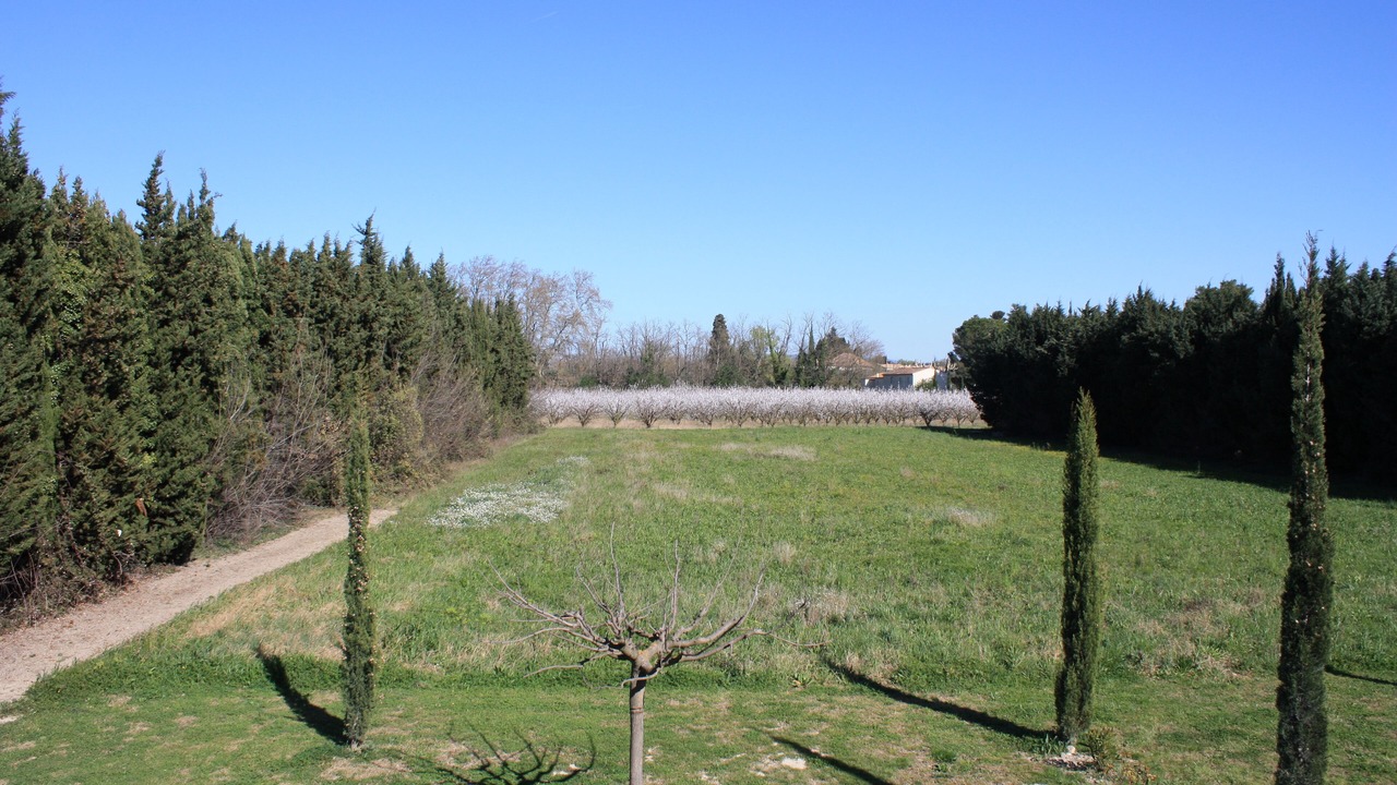Photo of Outdoor in Avignon