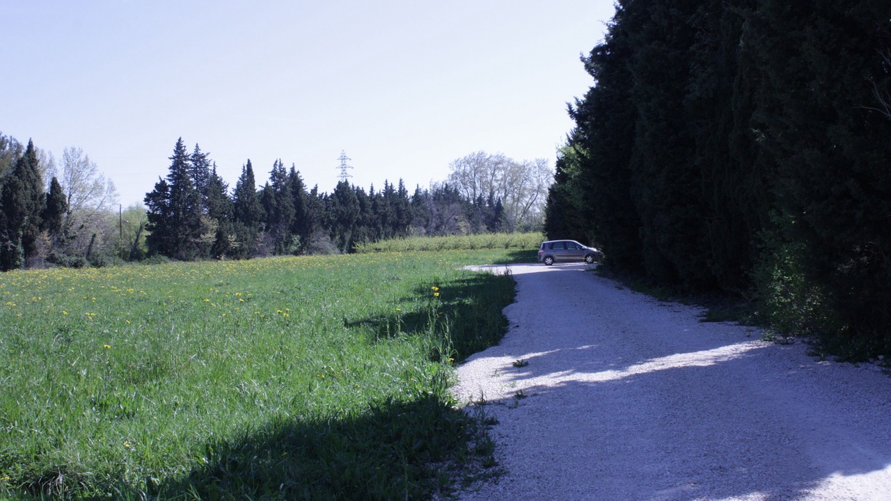 Photo of Others in Avignon