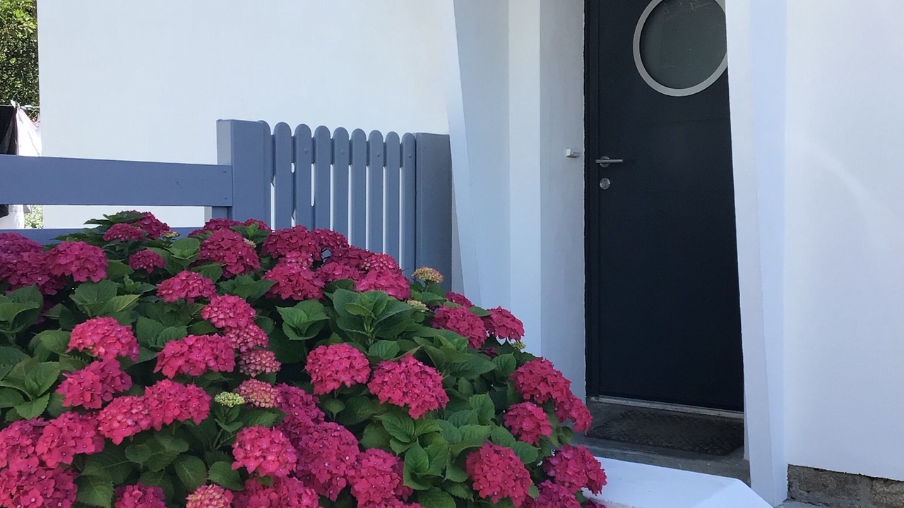 Photo of Outdoor in Concarneau