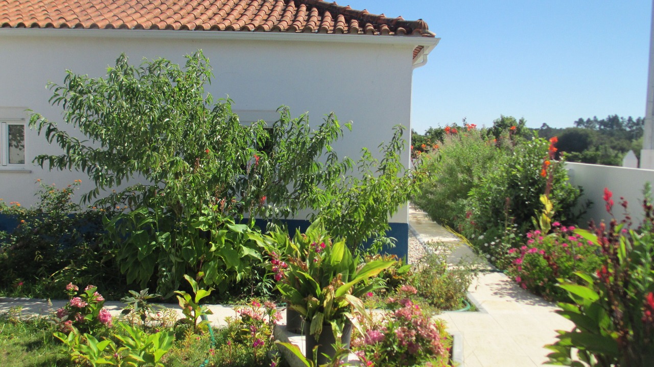 Photo of Outdoor in Paco