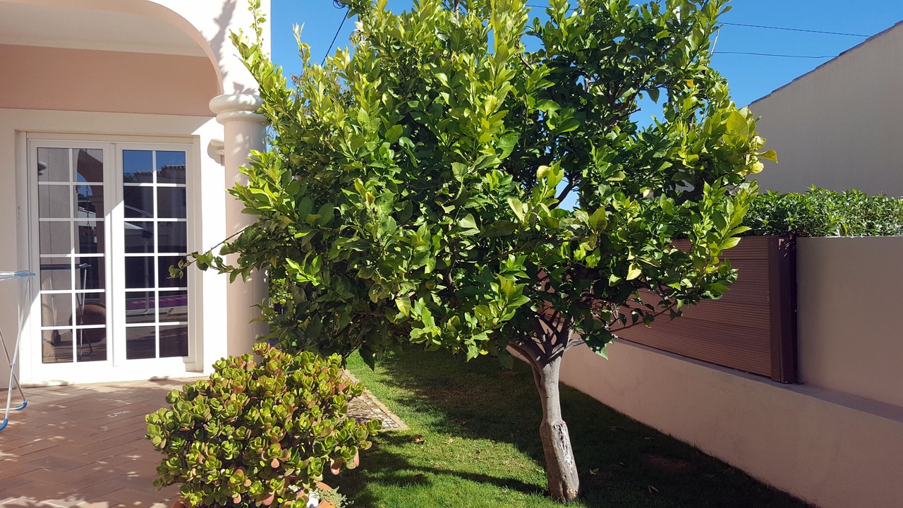 Photo of Outdoor in Carvoeiro