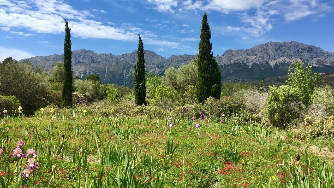 Photo of Outdoor in Cumbre del Sol